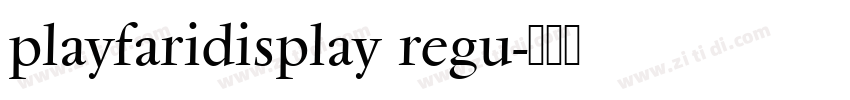 playfaridisplay regu字体转换
